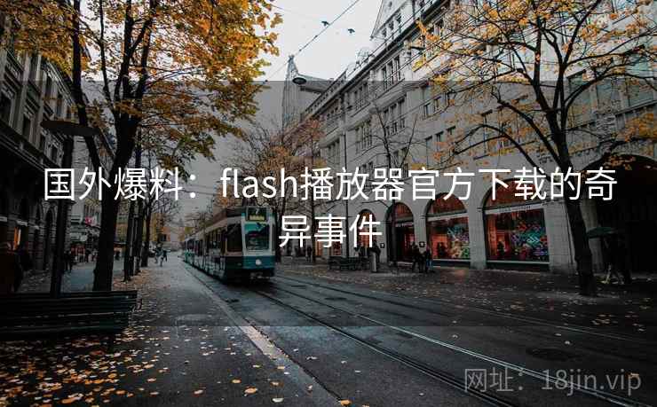国外爆料：flash播放器官方下载的奇异事件  第2张