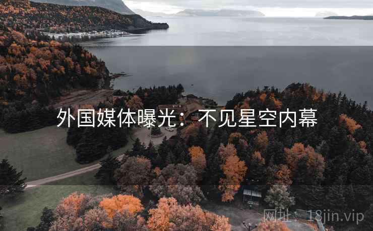 外国媒体曝光：不见星空内幕  第2张